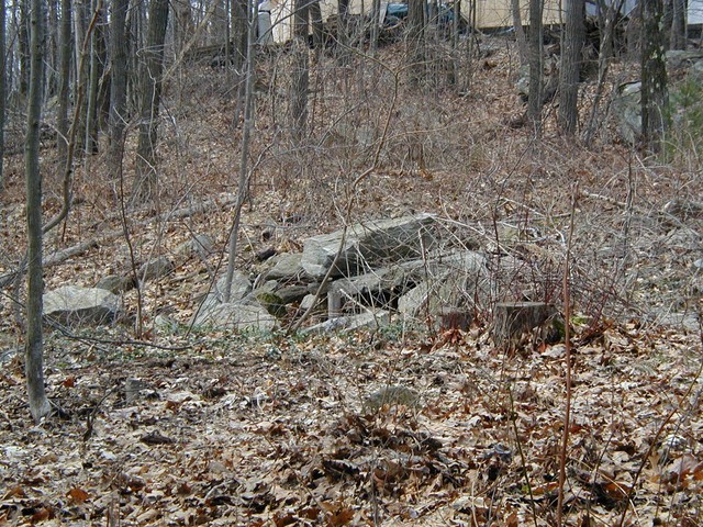 portion of rock wall out back