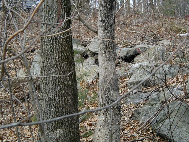 rock wall closer to neighbor