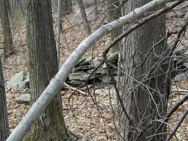 rock wall lower section