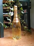 champagne bottle on the cork