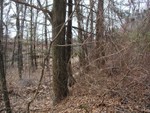 downslope at property line
