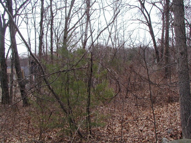 greenery will help block view of mudyard