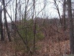 greenery will help block view of mudyard