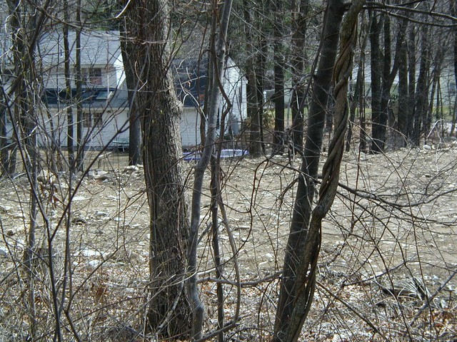last spring this house was not visible - thanks mudyard