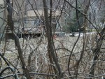 mudyard family should have moved to farms vs ripping out woods