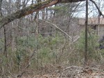 mudyards house was not visible last spring