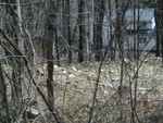 mudyards other neighbor must hate the new view too